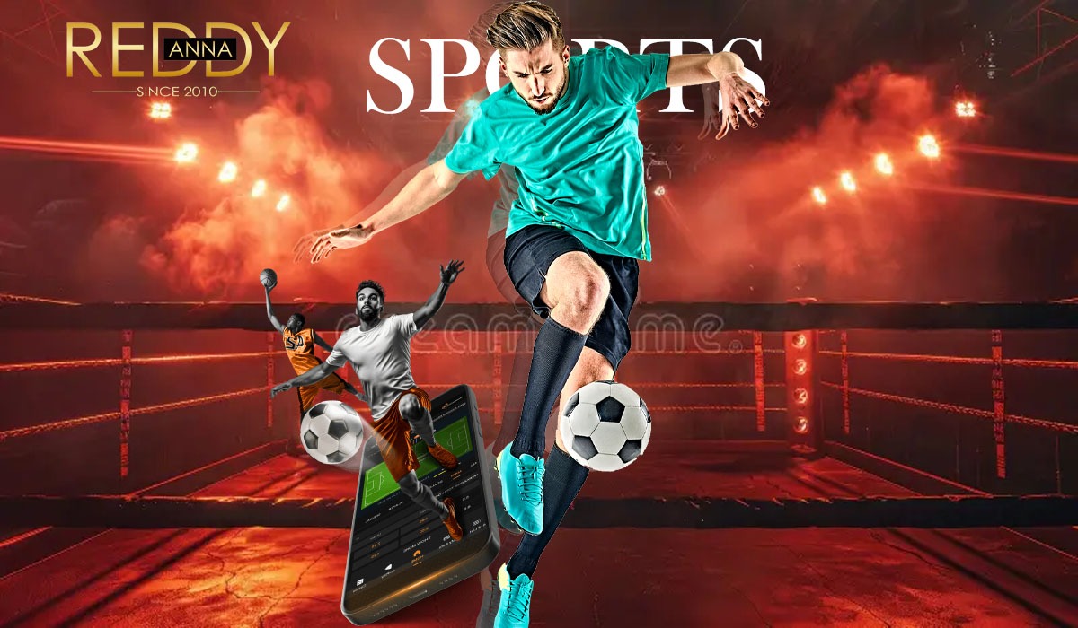 How Reddy Anna Book Promotes a Safe and Transparent Betting Experience