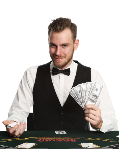 Reddy Anna Contact Support